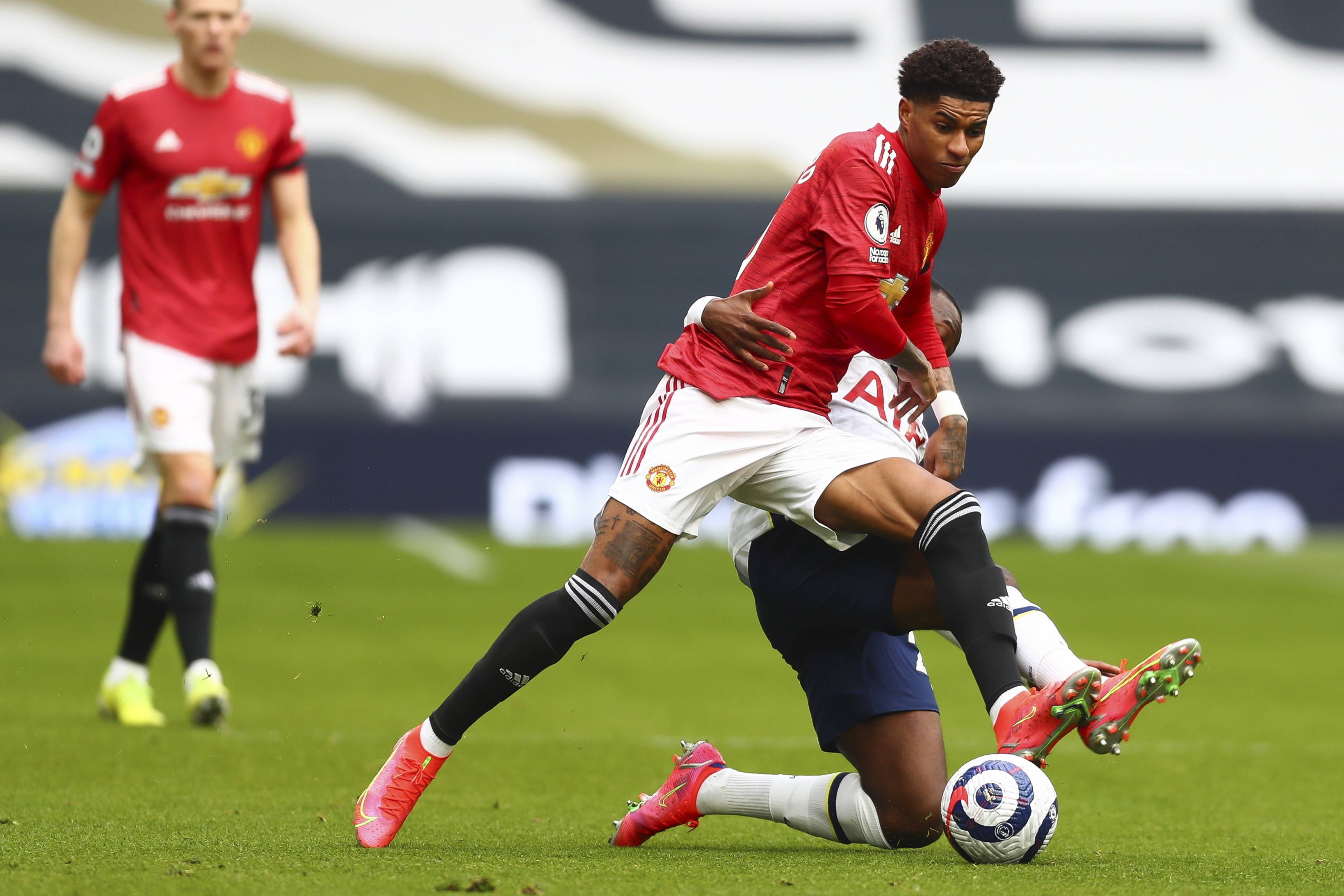 他们所拥有 他们所拥有