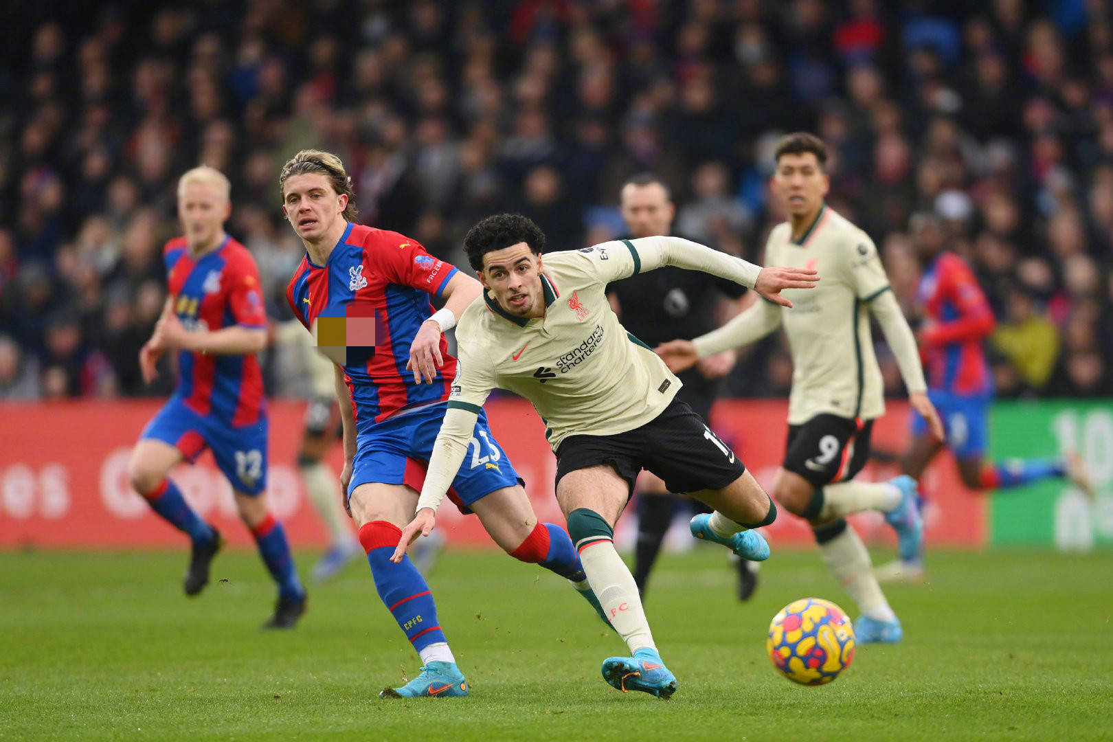 管理经验及 管理经验及